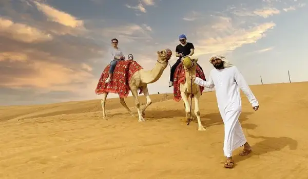 dubai-desert-safari-live-1.webp